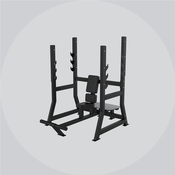 Seated Shoulder Press Machine best